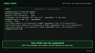 APT broken on Ubuntu Fix 'Could not get lock' and held packages (complete guide)