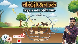 Nitrogen Cycle Explained in Bengali 🔥 | Class 8 &amp; 10 Life Science👉 Exam Ready: নাইট্রোজেন চক্র 💯