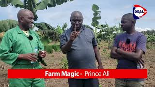 Coffee &amp; Bananas: The Smart Farming Secret in the Kabaka’s Garden 🔥