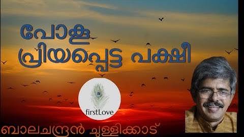 പോകൂ പ്രിയപ്പെട്ട പക്ഷീ| Poku Priyappetta Pakshi|Balachandran Chullikkad|ബാലചന്ദ്രൻ ചുള്ളിക്കാട്