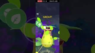 PokemonGo - Round 5! 💯🌿 Shadow Hundo Victreebel | Toxic Vines Take Over! Sunshine Cup🌍