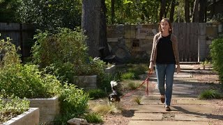 Casey Boyter Innovative Courtyard Garden Central Texas Gardener