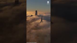 Arial footage shows San Francisco cloaked in fog