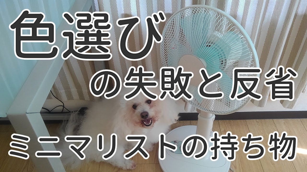 ミニマリストの持ち物 色選びの失敗と反省 シンプリストに学ぶ アラフォー女性の持ち物 Youtube