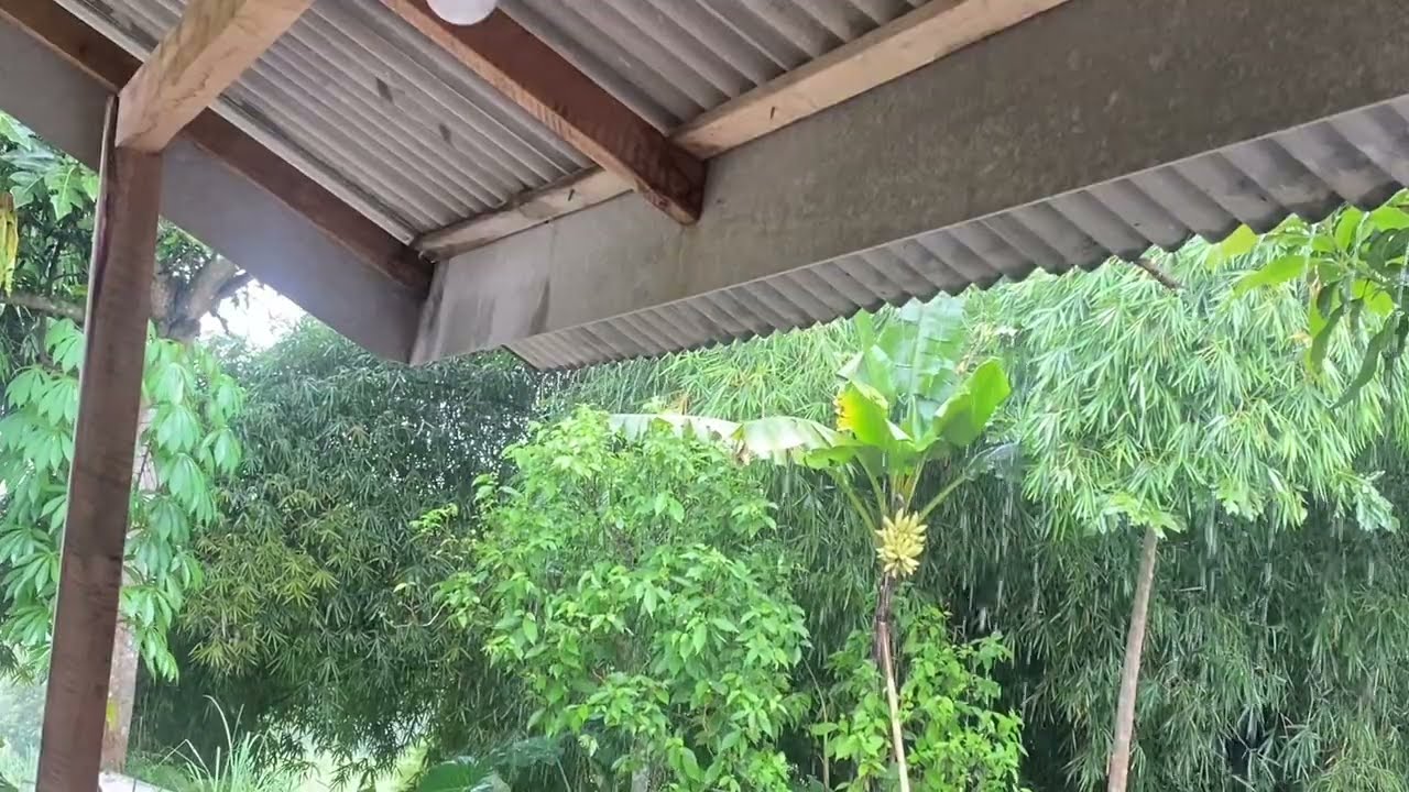 Peaceful Village Morning ASMR | Birds, Wind & Nature Sounds