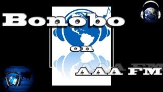 Bonobo - Kong