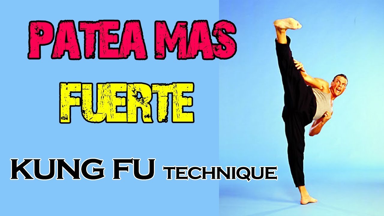 Rutina de PATADAS MAS FUERTES con KUNG FU TECHNIQUE por Shifu Dani Galindo