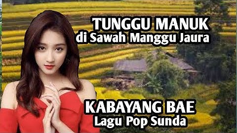 KABAYANG BAE- Lagu Pop Sunda menemani Tunggu Manuk di Sawah Manggu Kp. jaura Desa Pabuaran