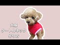 （無料型紙）犬用タートルネックの洋服の作り方 動画