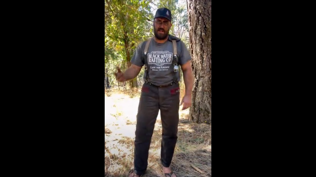 Chainsaw Safety Pant Review, Denim Pro Rain Gear Pro YouTube