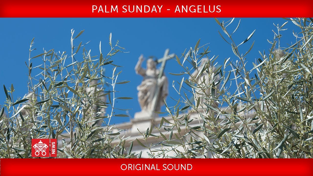 Pope Francis - Celebration of Palm Sunday - Angelus prayer 2018-03-25