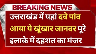 उत्तराखंड में यहां दबे पांव आया ये खूंखार जानवर, पूरे इलाके में दहशत का मंजर