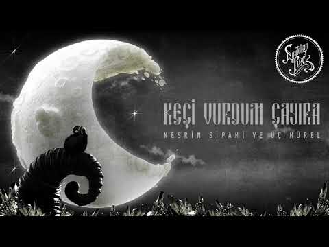 Nesrin Sipahi & 3 Hürel - Keçi Vurdum Çayıra (1972)