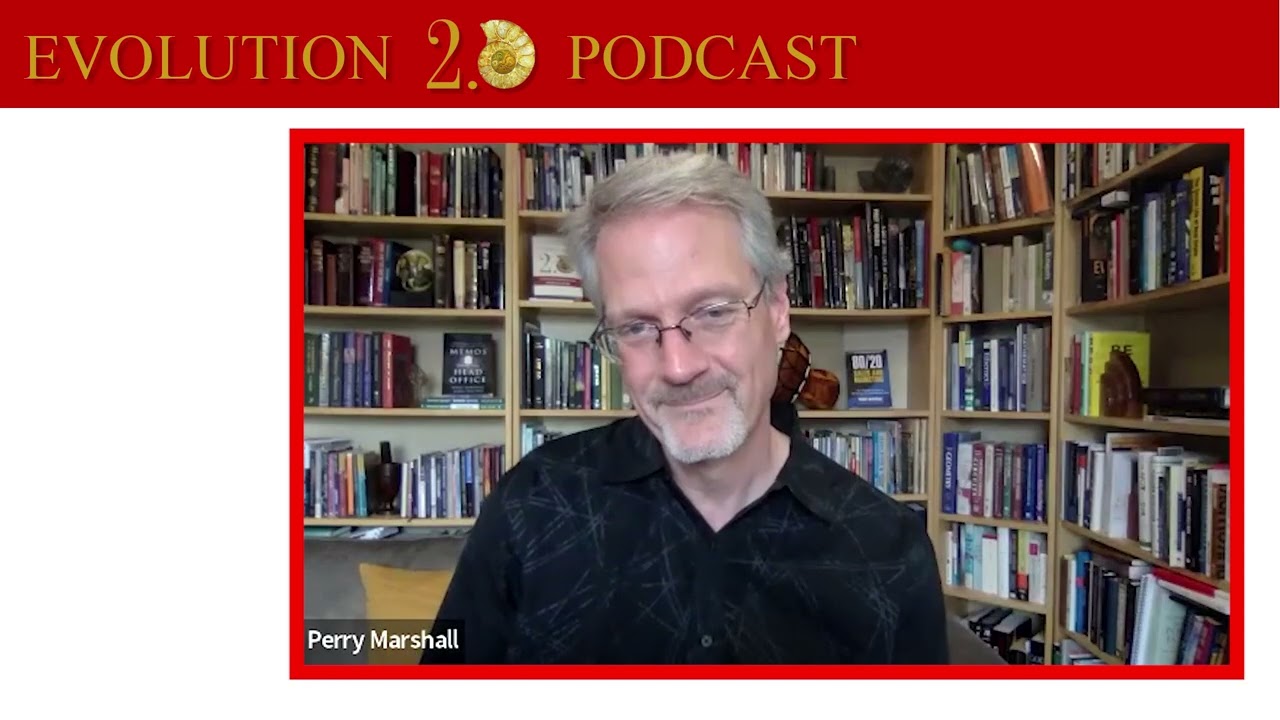 The Engineering of Consciousness with Michael Levin and Donald Hoffman