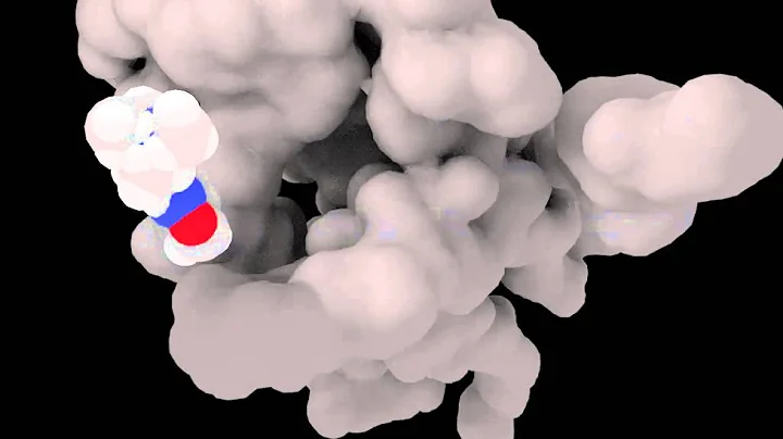 4mqsTo3uon LigandBinding 1