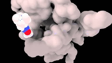 4mqsTo3uon LigandBinding 1