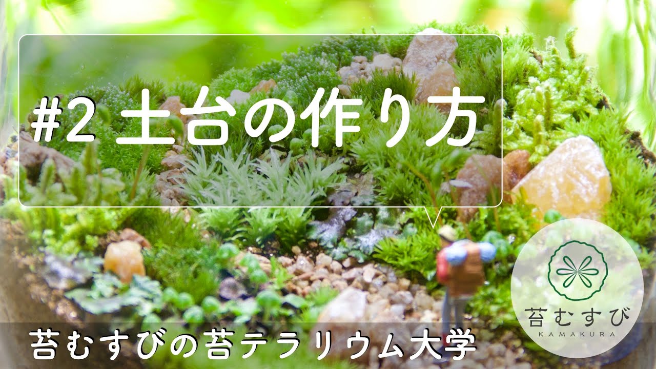 2 土台の作り方 苔テラリウム Youtube