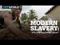 Modern Slavery: Who is forcing forced labour?