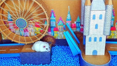 🐹Hamster Maze - Amusement Park for Hamster🐹