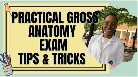 GROSS ANATOMY STEEPLECHASE EXAMS TIPS&TRICKS||How to have distinctions in Anatomy Practical Exam