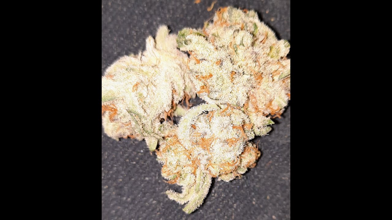 LIVE Unjarring of Grow Healthy Flower!!! COME TAKE A PEEK!