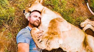 Naughty Lion Compilation | The Lion Whisperer