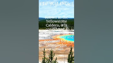 Discover the Extraordinary: Eye-Opening Revelations, Unveiling Unknown Wonders, and Intricate Detail