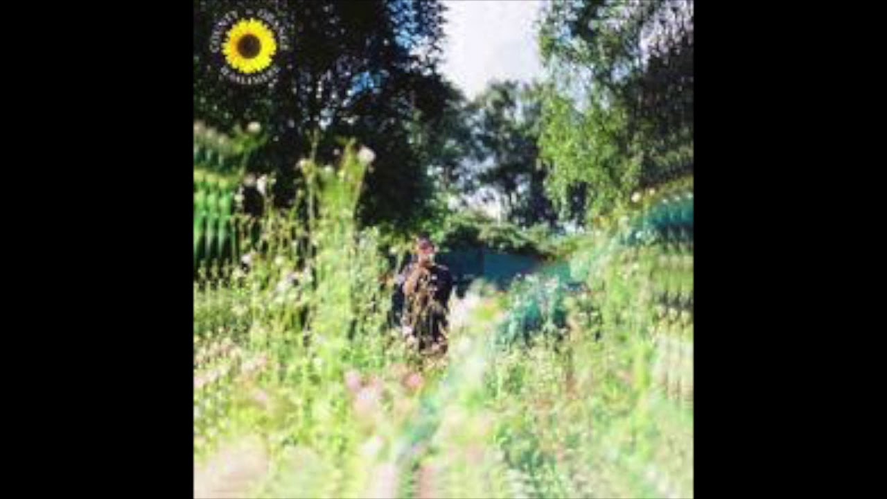 Sunflower - Rex Orange County - Instrumental - YouTube