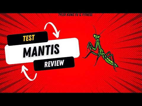 Test et avis de Mantis - Paradoxe Temporel