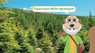 Fidan Nasıl Dikilir Resimi