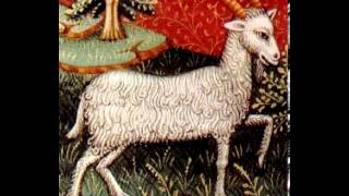 Capricorn Women Characteristics and Personality Traits