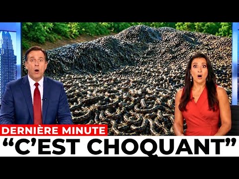 Des images des marais de Floride révèlent des conséquences inattendues