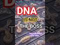 The RNA Renaissance: The Secret Master of Your DNA 🧬
