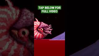 The Blood Seas of Terraria