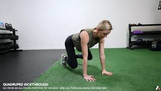 Quadruped Kickthrough