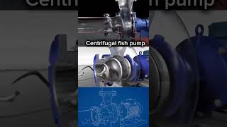 How a Spiral Centrifugal Fish Pump Works Safely #short