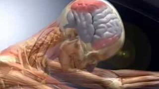 MohVisuals 3D Litigation and Trial Graphics Animation.flv