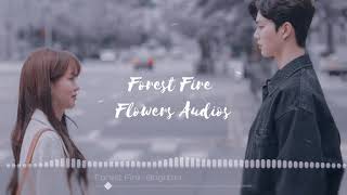 Forest Fire Audio Edit