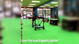 11 sled variations
