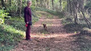 Walking with Little Dot 01 10 2025
Lovely warm afternoon so took my two drama queens for a walk!
@RobLittleuk Walking with Little Dot 01 10 2025
