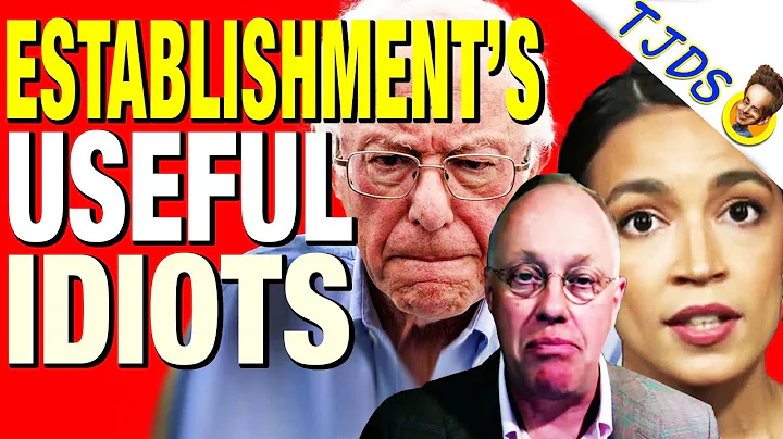 The Squad Are "Useful Idiots To The Establishment"...