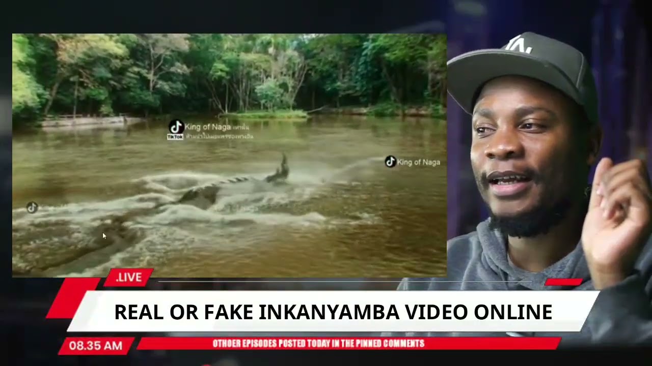 BREAKDOWN: Viral Inkanyamba Ritual Snake Video (Ep61/100)