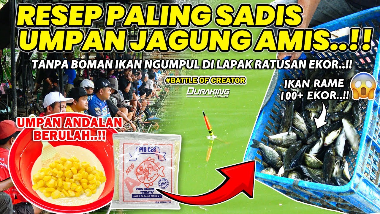 RACIKAN TERSADIS UMPAN JAGUNG 2025 !! RATUSAN IKAN NGUMPUL DI LAPAK TANPA BOMAN MAKAN CEPAT ❗❗