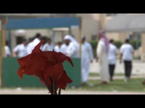 مهرجان الطبق الخيري