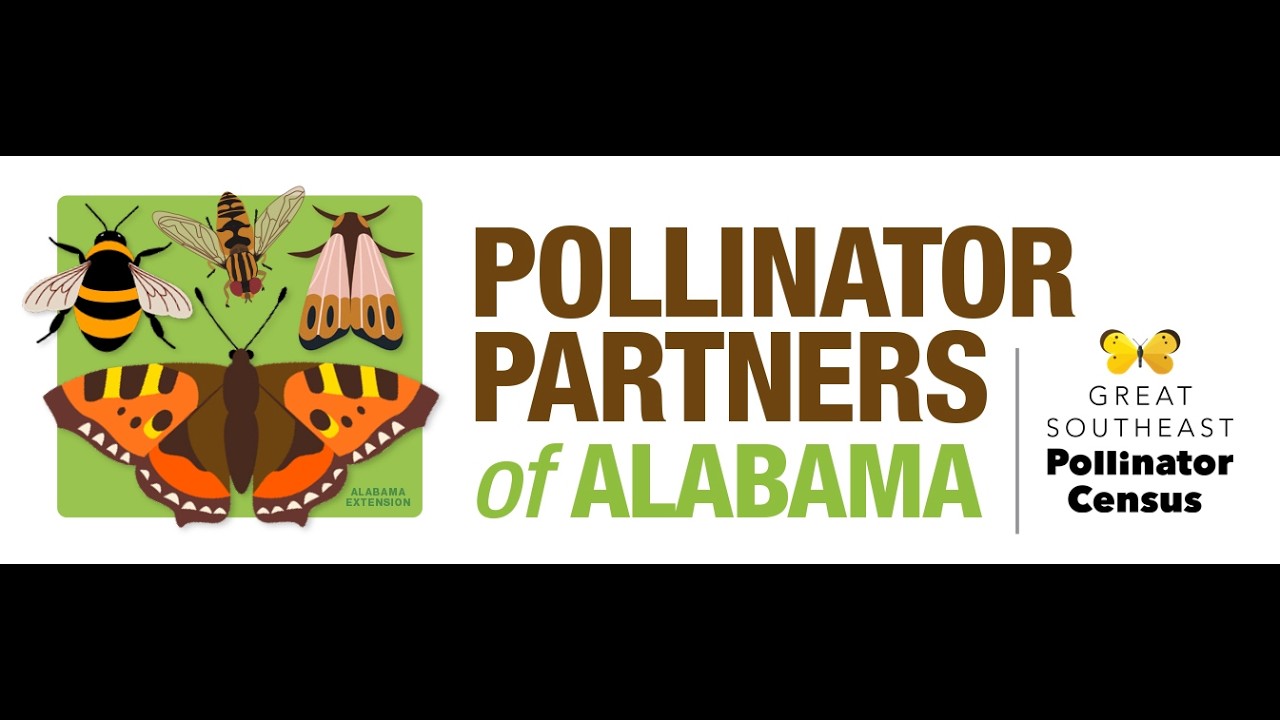 Tiger Giving Day 2026: Pollinator Partners of Alabama
