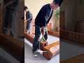 He Built His Dream Bed... from GIANT LOGS!  #woodworking #DIY