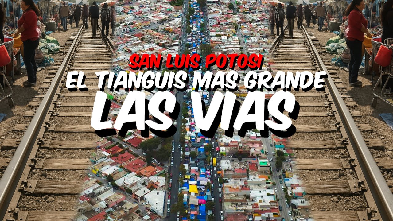 Mercado de Pulgas mas grande de la republica 🇲🇽 SAN LUIS POTOSI ❤️