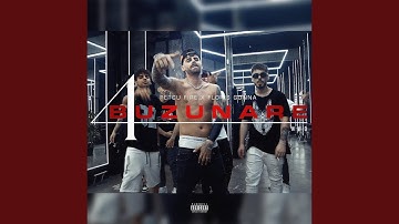 4 BUZUNARE (feat. Floris)