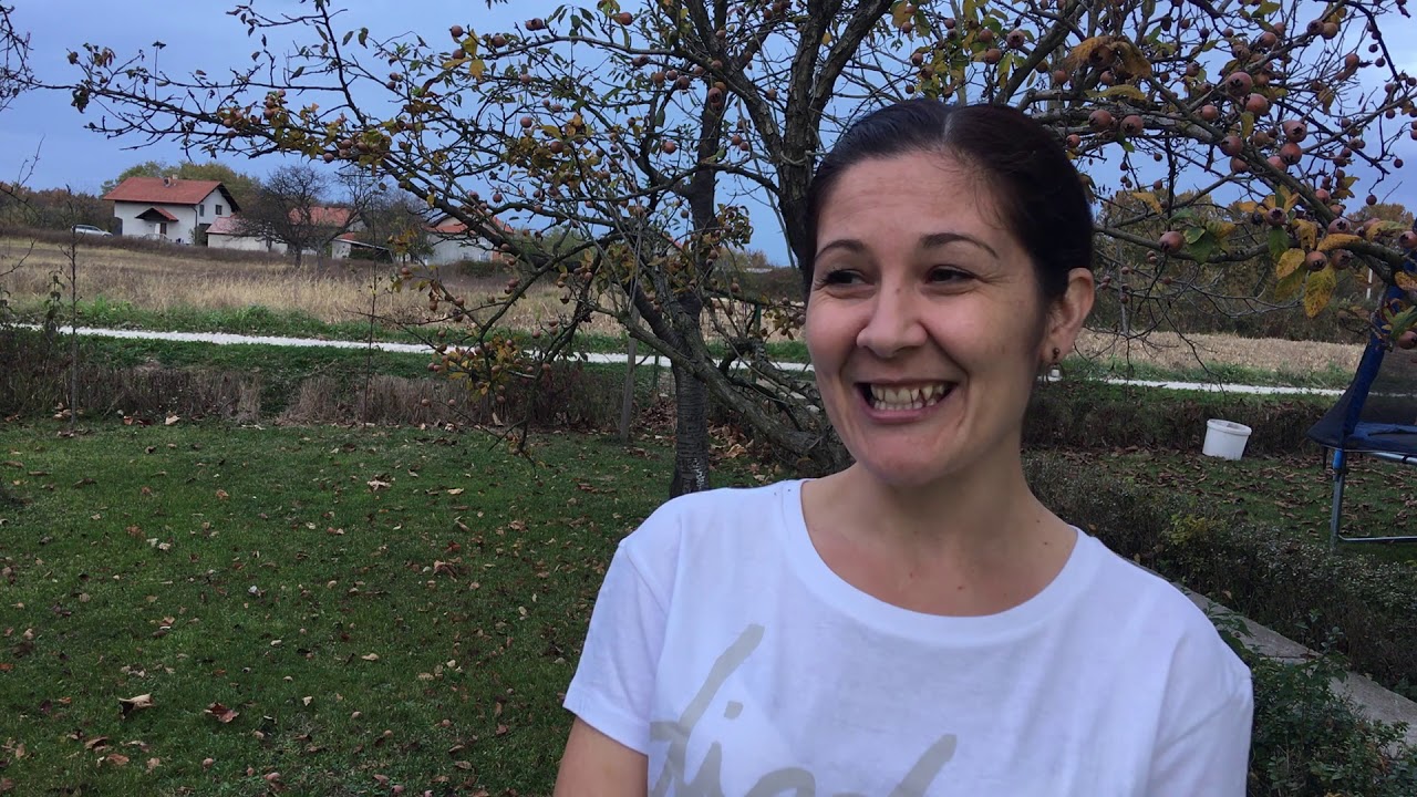 Prilog BHT Roditeljski sastanak, 11.11.2018., Pas Lina video editing software free