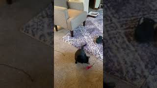 IMG 198692439 1